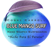 BLUE MANGO SURF