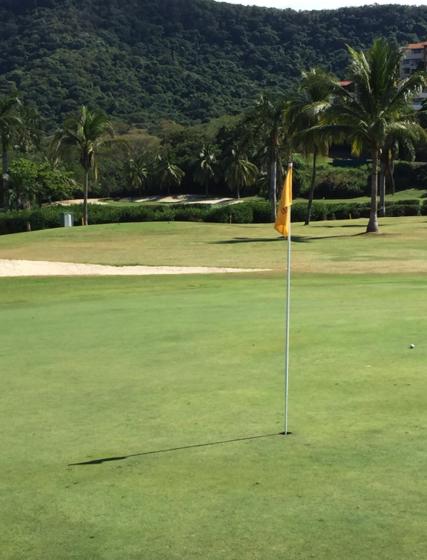 Palma Real golf course